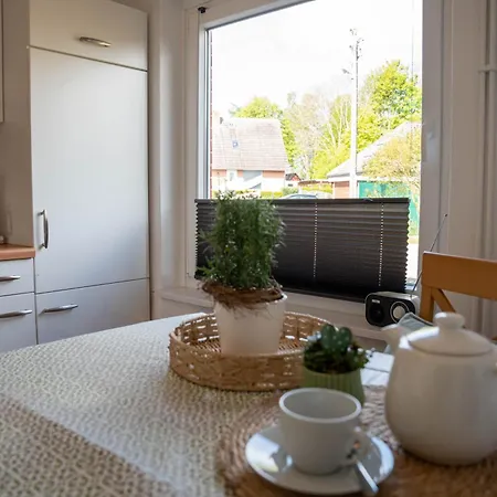 Kornblume Daire Guttau